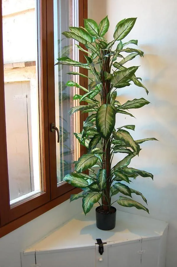 Attico Capparozzola Apartment Venice